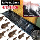 Large Size Mice Mouse Rodent Outdoor Glue Traps Indoor Super Sticky Rat