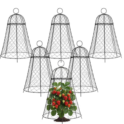 6 Pack Garden Cloches Rustproof Metal Chicken Wire Plant Protectors For Plants