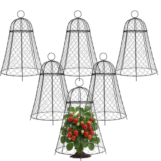 6 Pack Garden Cloches Rustproof Metal Chicken Wire Plant Protectors For Plants