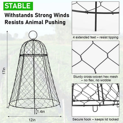 6 Pack Garden Cloches Rustproof Metal Chicken Wire Plant Protectors For Plants