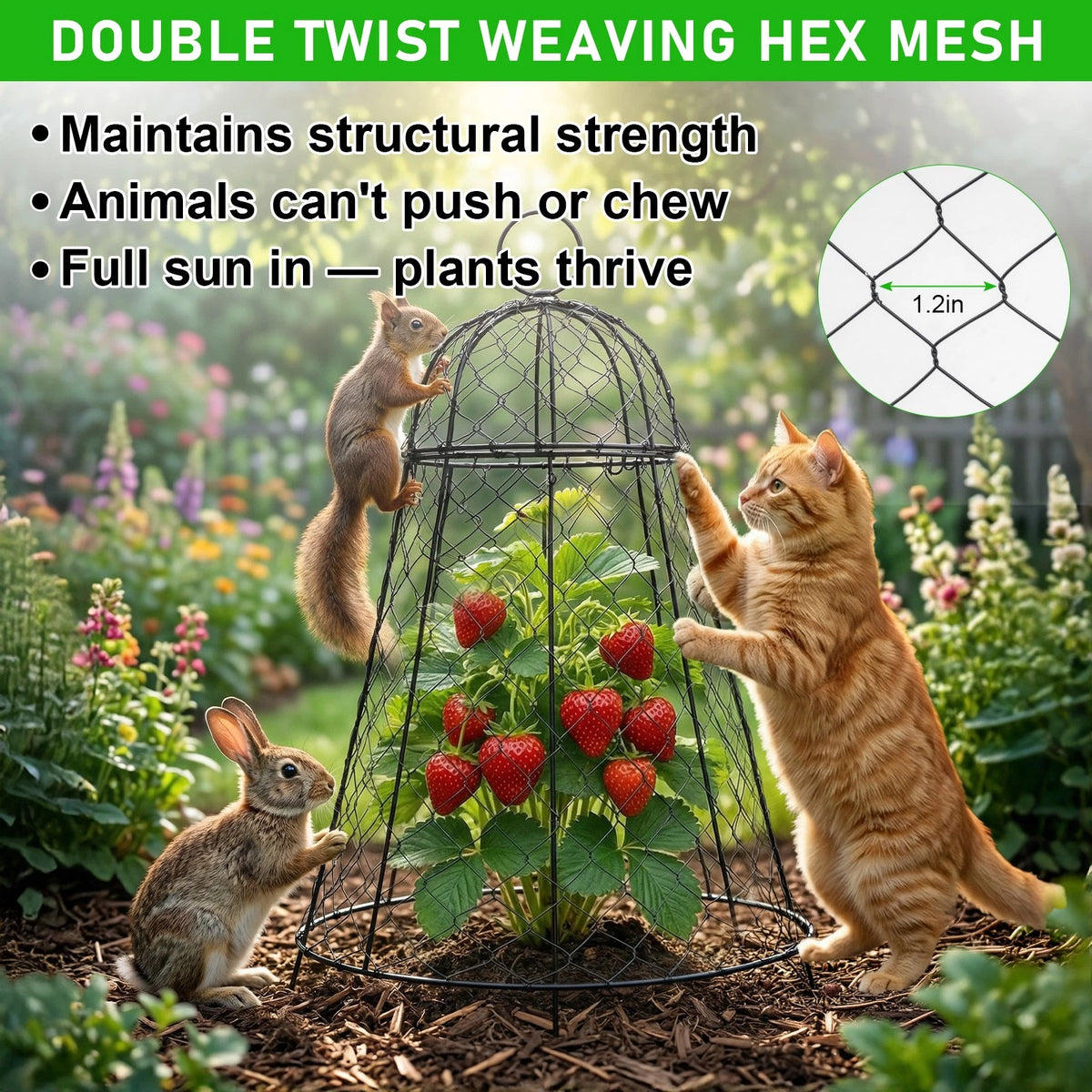 6 Pack Garden Cloches Rustproof Metal Chicken Wire Plant Protectors For Plants